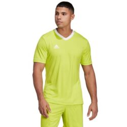 901b2221e7f4d479b00bb84b4f49ee59