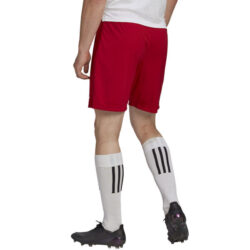 sport-werner_fussballschuhe-fussballtrikot-beschriftung-3-329-600x600-1
