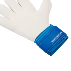 PUMA-ULTRA-MATCH-PROTECT-RC-GOLMANSKE-ROKAVICE-3-Photoroom